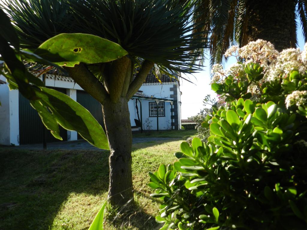 Vila El Lagar De Piedra San Juan de la Rambla Exteriér fotografie